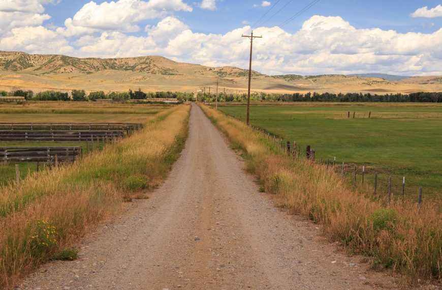 well beaten path