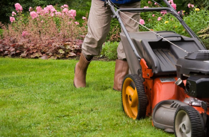 Gardener mowing the lawn.